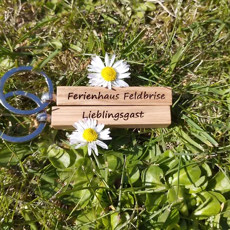 Feldbrise * Gottesgabe